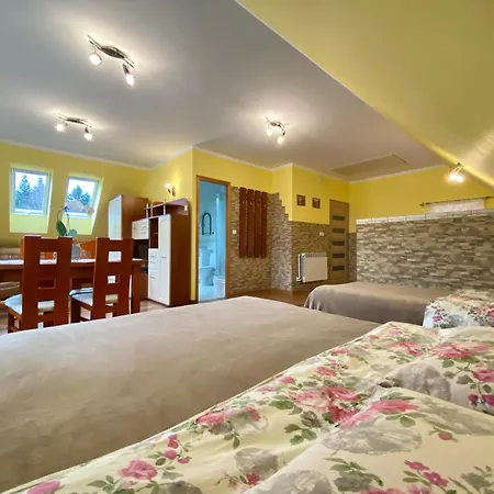 Apartamenty I Pokoje W Zawoi Dorota Miskowiec Zawoja Exterior photo