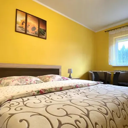 Apartamenty I Pokoje W Zawoi Dorota Miskowiec Zawoja Exterior photo