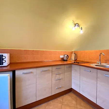 Apartamenty I Pokoje W Zawoi Dorota Miskowiec Zawoja Exterior photo