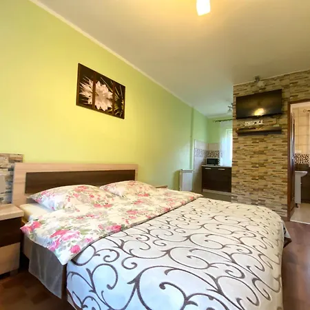 Apartamenty I Pokoje W Zawoi Dorota Miskowiec Zawoja Exterior photo