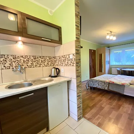 Apartamenty I Pokoje W Zawoi Dorota Miskowiec Zawoja Exterior photo